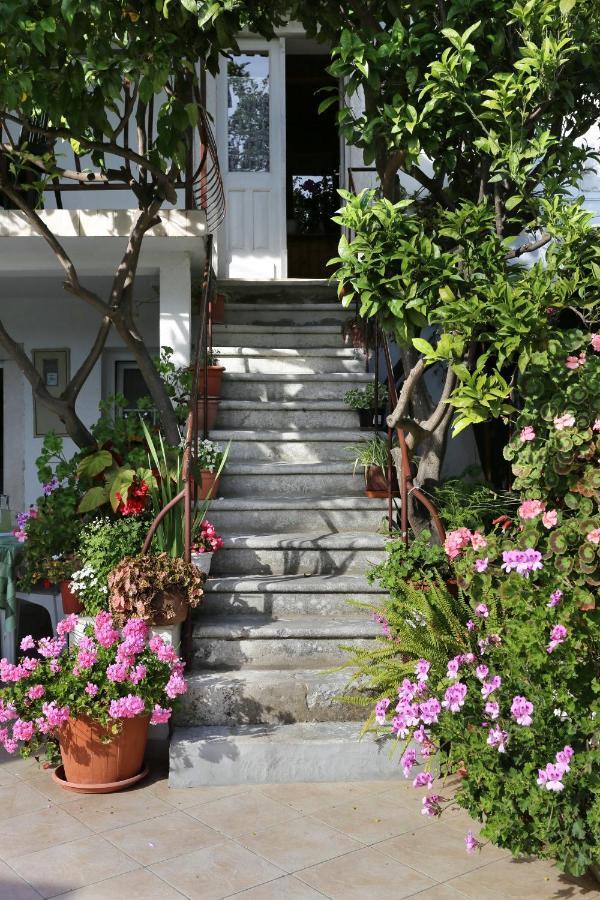 Apartment By The Sea Viganj, Peljesac - 10140 *
